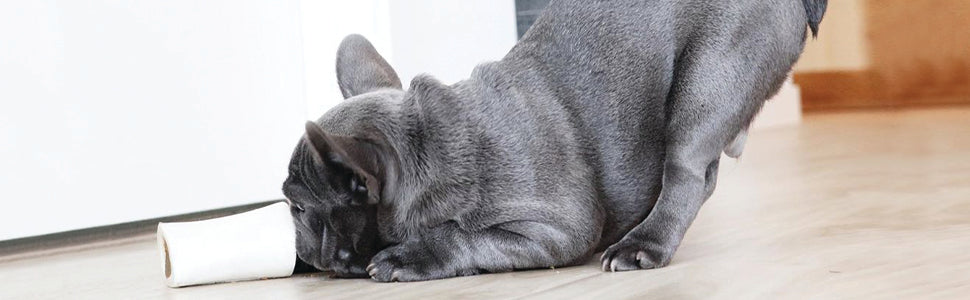 Redbarn, Filled Bone Peanut Butter Large (Pack of 2)