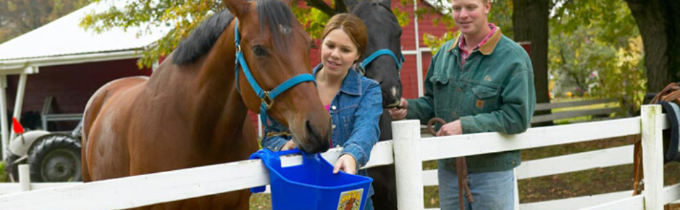 Little Giant®, Plastic Better Bucket | Horse Feed Bucket | Ergonomically Designed | Flat Back Bucket | Made in USA | 10 Quarts | Blue