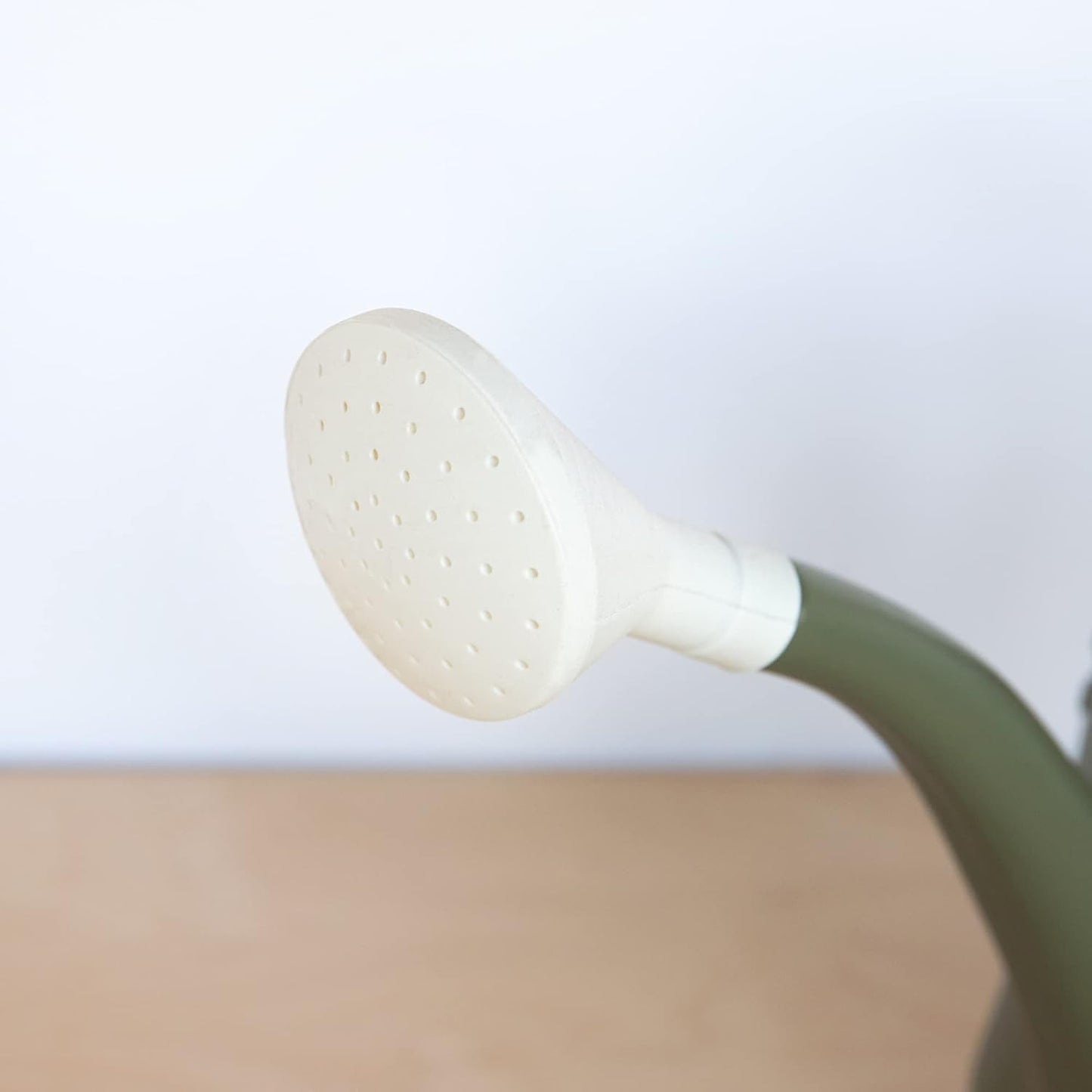 Bloem, Promo Watering Can: 2 Gallon Capacity - Living Green - Durable Resin, Removable Nozzle Spout, Two Handles, Wide Mouth, for Indoor and Outdoor Use, Gardening