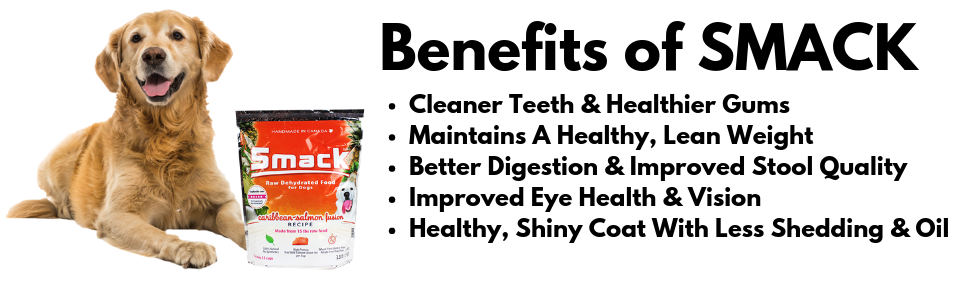 Smack, Pet Food Organic Raw Dehydrated Dog Food Grain-Free, Gluten-Free, Raw Food for Dogs (Caribbean Salmon Fusion, 7.4 Ounce)