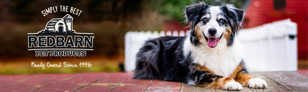 Redbarn, Filled Bone Peanut Butter Large (Pack of 2)