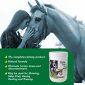 Ramard, Total Calm and Focus for Horses Supplement - Magnesium & Calming Formula for Horse Show, Training, & Performance Mental Alertness Without Drowsiness, Show Safe, Perfect Prep for Horses 1 Pack
