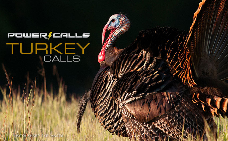 Power Calls, Beau Brooks Signature Series | Must Have Turkey Diaphragm Calls for Hunting | Cutter, Mockingbird, and Batwing Cuts for Ultra Realistic Hen & Tom Sounds | Multiple 3pks Available