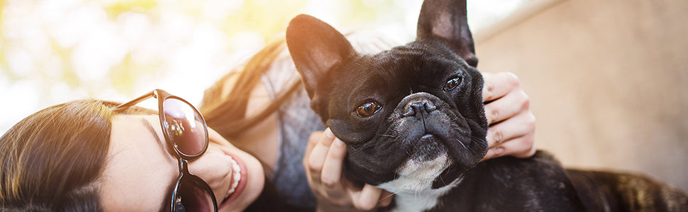 Bio-Groom, Oatmeal Dog Shampoo – for Allergies and Itching, Cruelty-Free, Dog Bathing Supplies, Puppy Shampoo for Sensitive Skin, Made in USA, Anti-Itch Dog Products – 32 fl oz 1-Pack