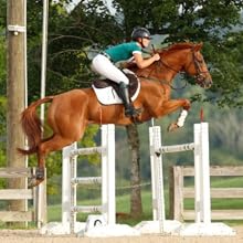 B Gone, White Line Treatment - Official Store, for Equestrians, Horses with Whiteline Disease, Seedy Toe, Horse Care, White Line Prevention, Easy Apply Bottle