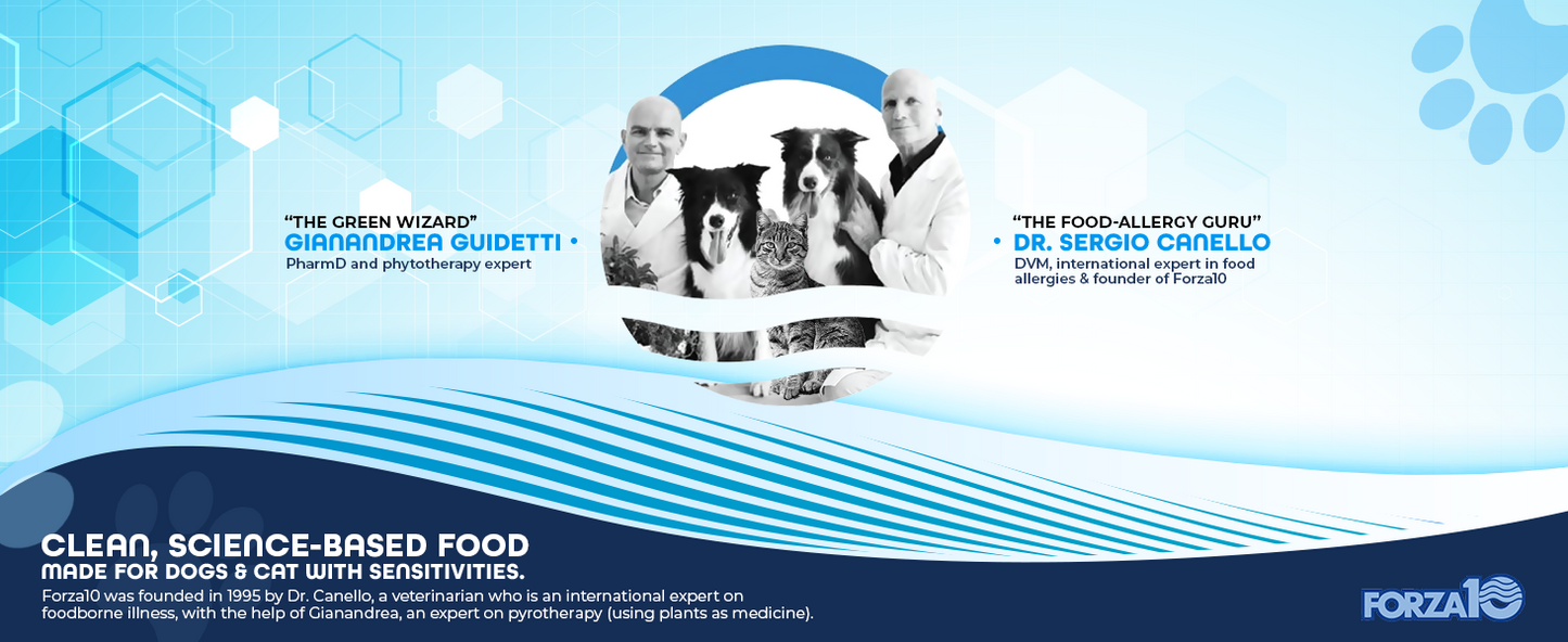 Forza10, Active Kidney Renal Diet Dry Cat Food for Adult Cats, Kidney Care Cat Food for Heart and Kidney Problems, Wild Caught Anchovy Flavor, 4 Pound Bag