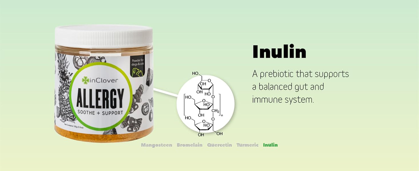 InClover, Natural Dog Allergy Relief Supplement with Turmeric - BioResiliant Treat Powder Supplement for Dogs with Seasonal Allergies, Mangosteen Helps Maintain Histamine Levels