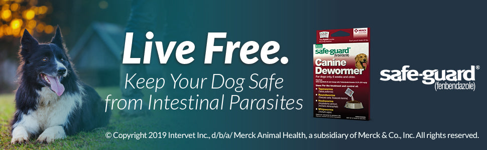 Merck, SAFE-GUARD (fenbendazole) Canine Dewormer for Dogs, 2gm pouch (ea. pouch treats 20lbs.), Blue, 0.07 Ounce (Pack of 3) (033576/001-033576)