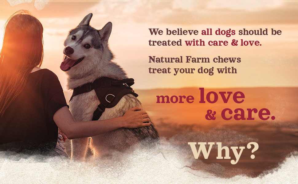 Natural Farm, All-Natural Dog Dental Chew, Dog Teeth Cleaning Treats - Fresh Breath, Fight Plaque & Tartar - Canine Mess-Free Oral Care, Teeth Cleaning Chews for Dogs +50 Lbs (8 Treats)