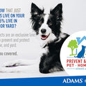 Adams, Flea & Tick Collar Plus for Dogs & Puppies |2 Pack |12-Month Protection |One Size Fits All Dogs & Puppies 12 Weeks and Older |Kills Fleas and Ticks |Repels Mosquitoes (excluding California)