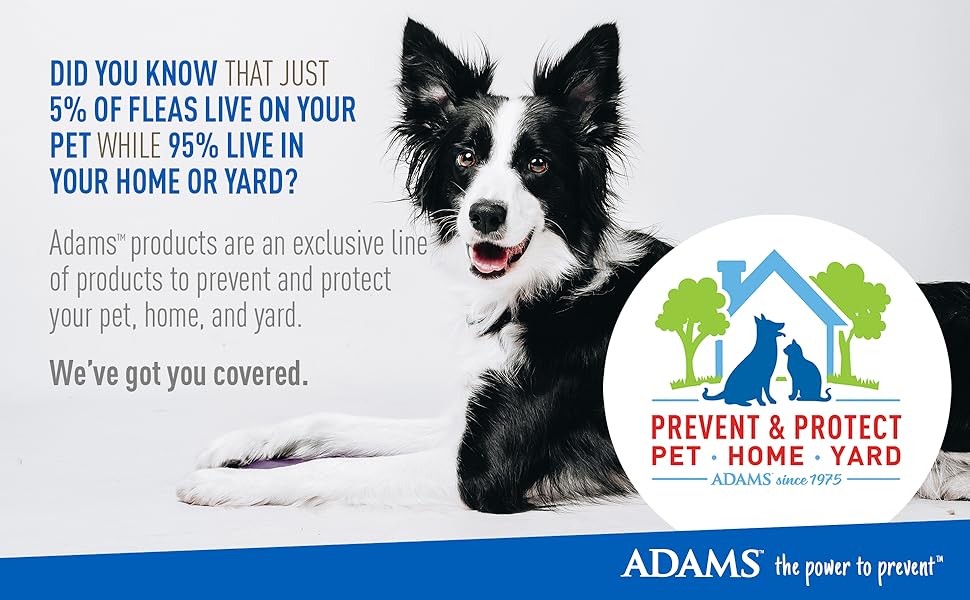 Adams, Flea & Tick Collar Plus for Dogs & Puppies |2 Pack |12-Month Protection |One Size Fits All Dogs & Puppies 12 Weeks and Older |Kills Fleas and Ticks |Repels Mosquitoes (excluding California)
