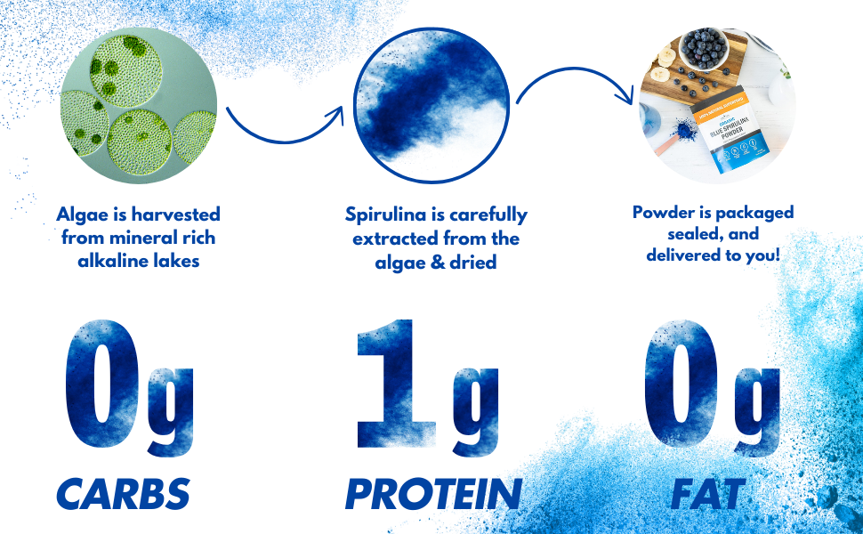 Organic Blue Spirulina Powder, 120 Servings - 100% Pure Superfood Blue-Green Algae, Natural Food Coloring for Smoothies & Protein Drinks - Non GMO, Gluten-Free, Vegan + USDA Certified, No Fishy Smell