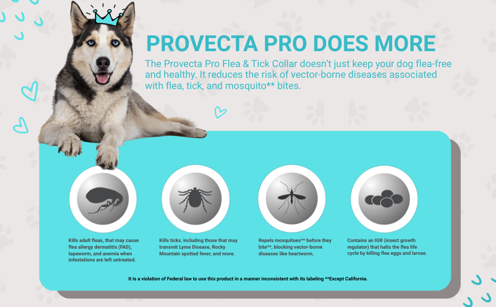 Provecta®, PRO Flea & Tick Collar for Dogs