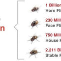 JustiFLY, Champion USA, Feedthrough Cattle Fly Control, Single | Non-Toxic Larvicide. Controls All Four Fly Species That Affect Cattle. Over 50 Million Head Treated