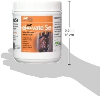 Kentucky Performance Prod Elevate Se Natural Vitamin E and Selenium Powder for Horses, 2 Pound Container