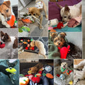 Nocciola, Dog Squeaky Toys, Plush Small Dog Toys for Dogs, Stuffed with Squeakers,12 pcs Puppy Toys with a Carrying Bag for Small Medium Size