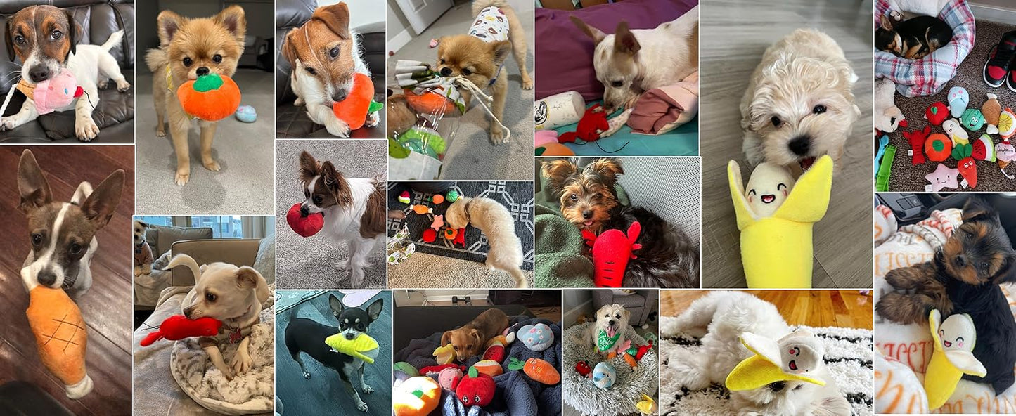 Nocciola, Dog Squeaky Toys, Plush Small Dog Toys for Dogs, Stuffed with Squeakers,12 pcs Puppy Toys with a Carrying Bag for Small Medium Size