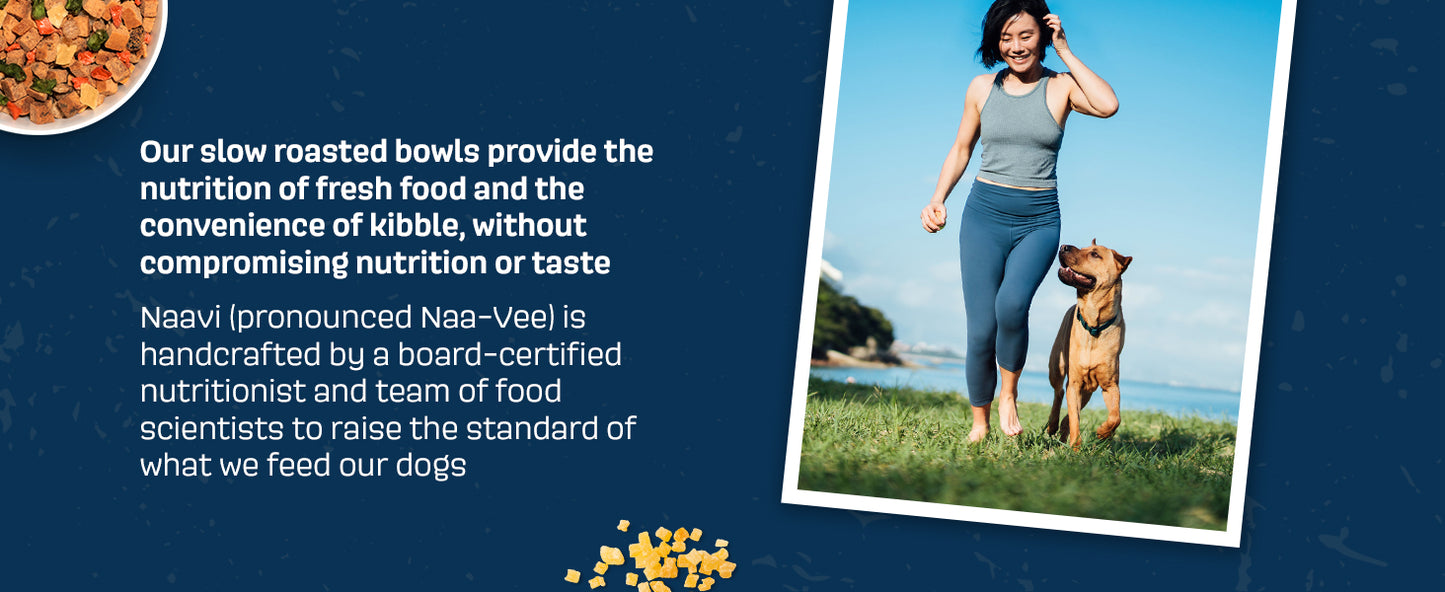 NAAVI, Natural Dog Food - Slow-Roasted Beef Bowl with Ancient Grains, Vegetables & Fruits - Ideal Wet/Dry Meal or Premium Dog Food Toppers for Picky Eaters (4 lbs)