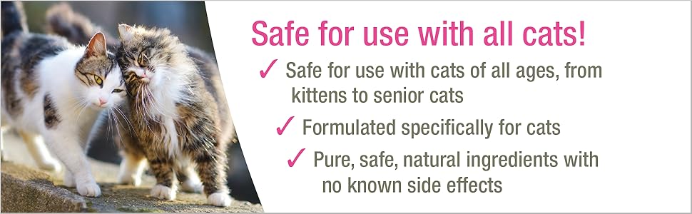 HomeoPet, Feline Purr Dental Safe and Natural Tooth and Dental Care for Cats 15 Milliliters
