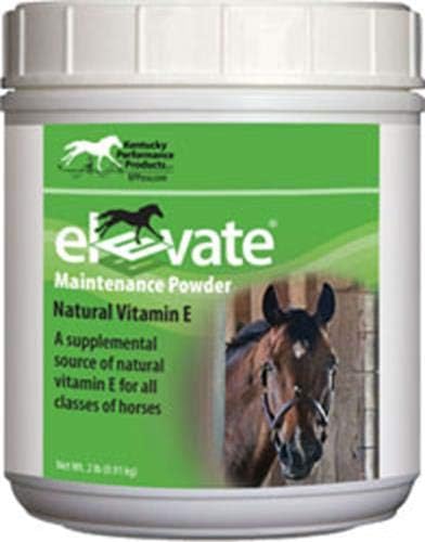 Kentucky Performance Prod, 044097 Elevate Maintenance Powder Supplement for Horses, 2 lb