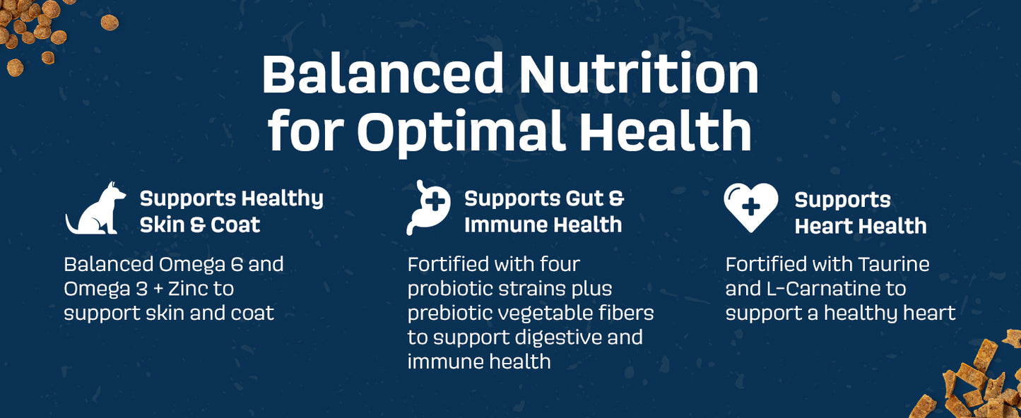 NAAVI, Natural Dog Food - Slow-Roasted Beef Bowl with Ancient Grains, Vegetables & Fruits - Ideal Wet/Dry Meal or Premium Dog Food Toppers for Picky Eaters (4 lbs)