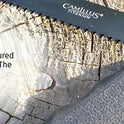 Camillus, Camtrax 3-in-1 Hatchet, Hammer, and Folding Saw with Hard Molded Hatchet Sheath, Black (19142)