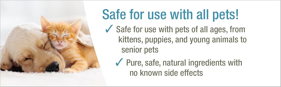 HomeoPet, HP Healing Cream, Safe and Natural Skin-Healing Ointment for Cats and Dogs, 14 Grams