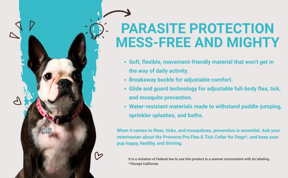 Provecta®, PRO Flea & Tick Collar for Dogs
