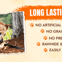 Tibetan Yak Cheese Dog Chew, Sticks (2 Medium Chews) - Natural, Handmade, Long-Lasting, Easy to Digest, Ideal for Medium Dogs and Aggressive Chewers, Rawhide, Grain and Gluten Free, Keeps Dogs Busy