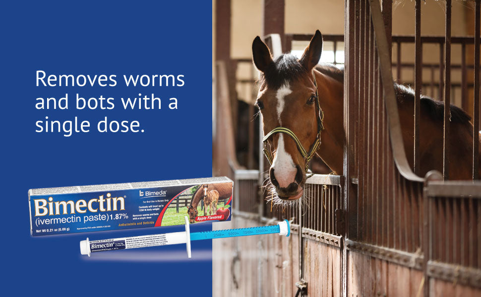 Bimectin, Ivermectin Paste 1.87% | Single Dose | Apple Flavored