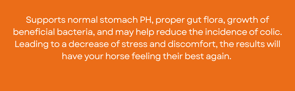Ramard, Total Gut Health Equine Digestive Support - Equine Gut Health Supplement Probiotics for Horses, Healthy Gut Vitamins, Gastric Relief, Optimum Digestive Health for Horses 1.12lb, 30-Day Supply