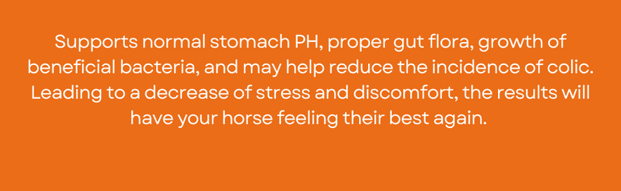 Ramard, Total Gut Health Equine Digestive Support - Equine Gut Health Supplement Probiotics for Horses, Healthy Gut Vitamins, Gastric Relief, Optimum Digestive Health for Horses 1.12lb, 30-Day Supply