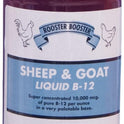 Rooster Booster, B-12 Sheep and Goat Liquid, 16-Ounce