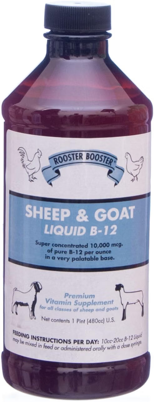 Rooster Booster, B-12 Sheep and Goat Liquid, 16-Ounce