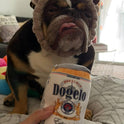 Nocciola, Squeaky Beer Dog Toys with a Fridge, Funny Crinkle Hide and Seek Dog Chew Toys for Small Medium Large Breeds, Plush Stuffed Puppy Birthday Gifts