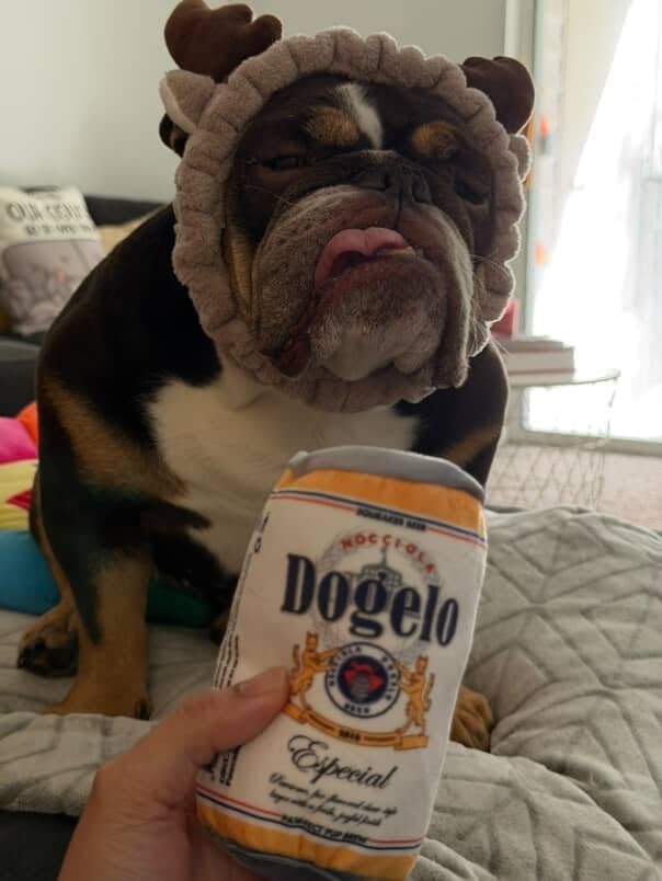 Nocciola, Squeaky Beer Dog Toys with a Fridge, Funny Crinkle Hide and Seek Dog Chew Toys for Small Medium Large Breeds, Plush Stuffed Puppy Birthday Gifts