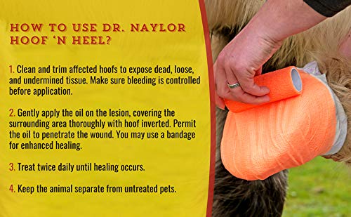 Dr. Naylor, Hoof 'N Heal, Hoof Rot Foot Rot Wound Care, 16oz, Sheep Goat Cow Horse, 1-pack