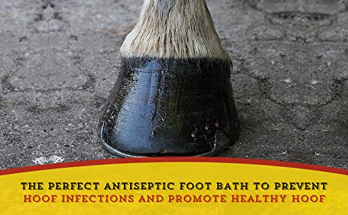 Dr. Naylor, Hoof 'N Heal, Hoof Rot Foot Rot Wound Care, 16oz, Sheep Goat Cow Horse, 1-pack