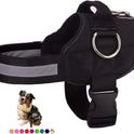Joyride, Harness for Small, Medium, Large Dogs, No-Pull Pet Harness with 3 Side Rings for Leash Placement, Adjustable Soft-Padded Vest for Training, Walking, Running, No-Choke Easy On-Off Technology