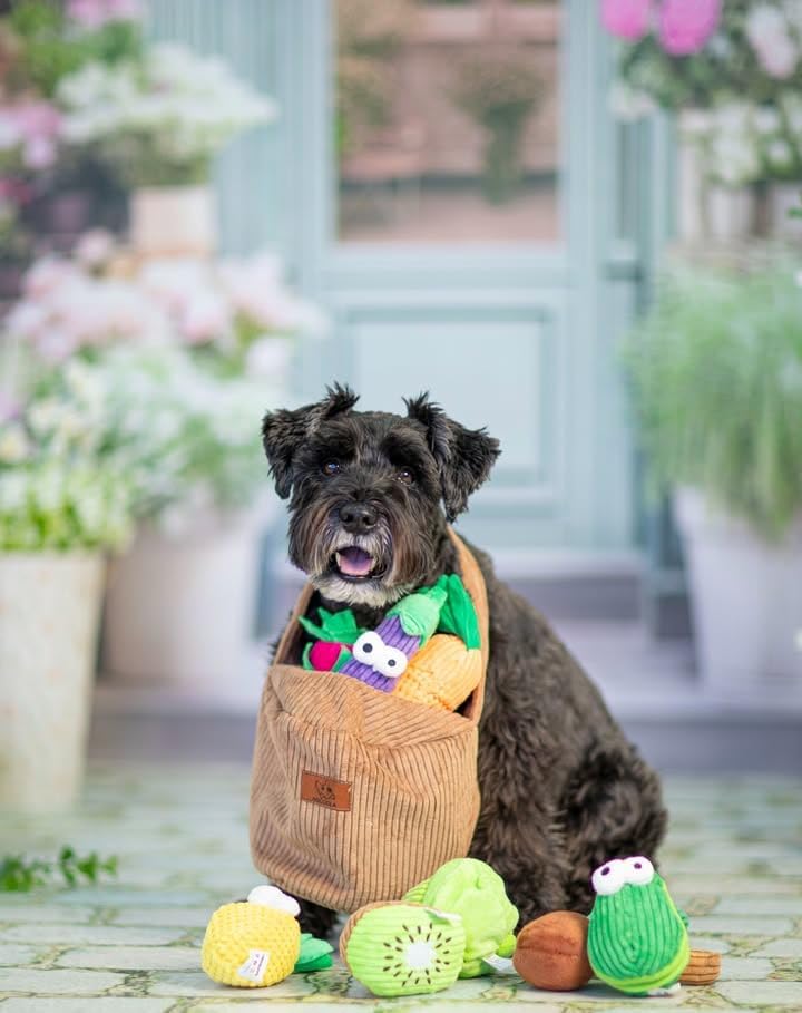 Nocciola, Squeaky Fruits Veggies Stuffed Dog Toys Pack- Hide Seek Grocery Basket Crinkle Plush Puppy Toys to Keep Busy, Birthday Pet Supplies Gifts for Small Medium Breeds