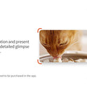PETKIT, Automatic Cat Feeder with Camera, 1080P HD Video with Night Vision, 2.4G WiFi Pet Feeder with Phone App Control, 2-Way Audio for Cats and Small Dogs, Portion Control Up to 10 Meals Per Day