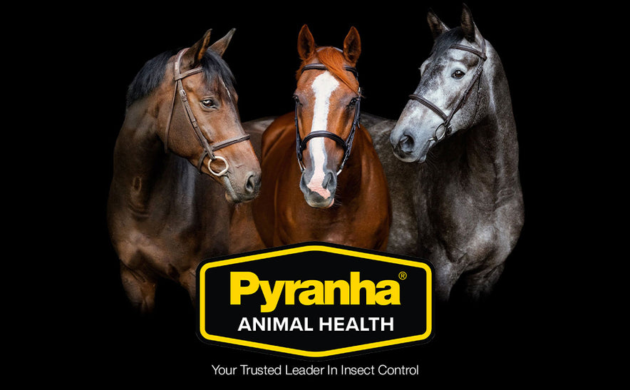 PYRANHA, Zero-Bite All Natural Fly Spray - Ready to Use Water Based Repellent for Horses, Dogs, Cats, Ferrets, Caged Pets, Livestock | Repels Flies, Gnats, Mosquitoes, No-See-UMS