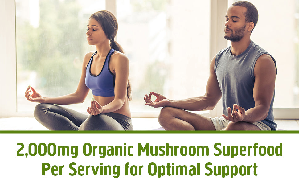 OM, Mushroom Superfood Reishi Organic Mushroom Powder, 100 Servings, Organic Adaptogen Powder for Stress Relief and Immune Health