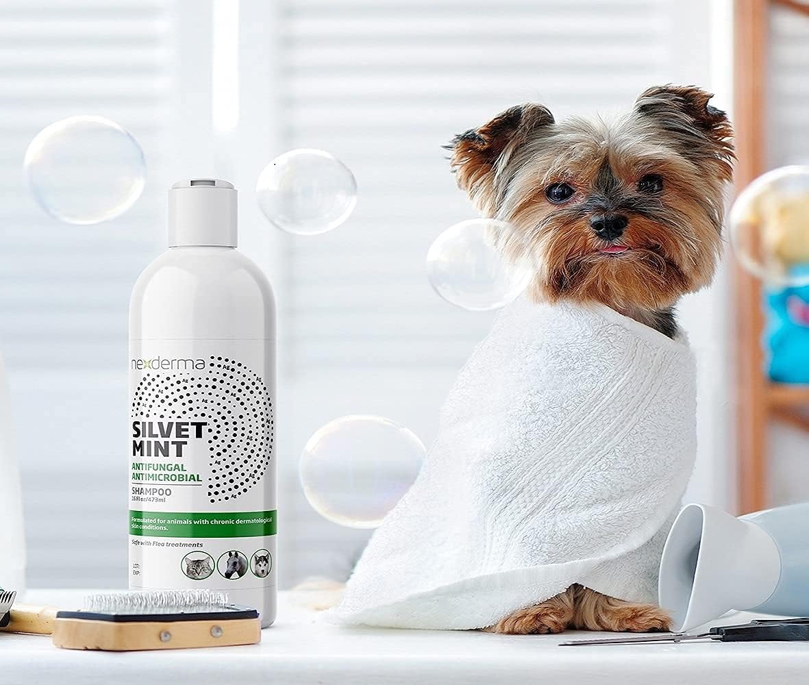 NEXDERMA, Natural Colloidal Medicated Pet Shampoo for Dogs and Cats - Tearless Hypoallergenic, Soap Free with Coconut Oil and Mint, Relief for Allergies, Odor, Itchy, Dry, Irritated Skin - 16oz, 1Pack
