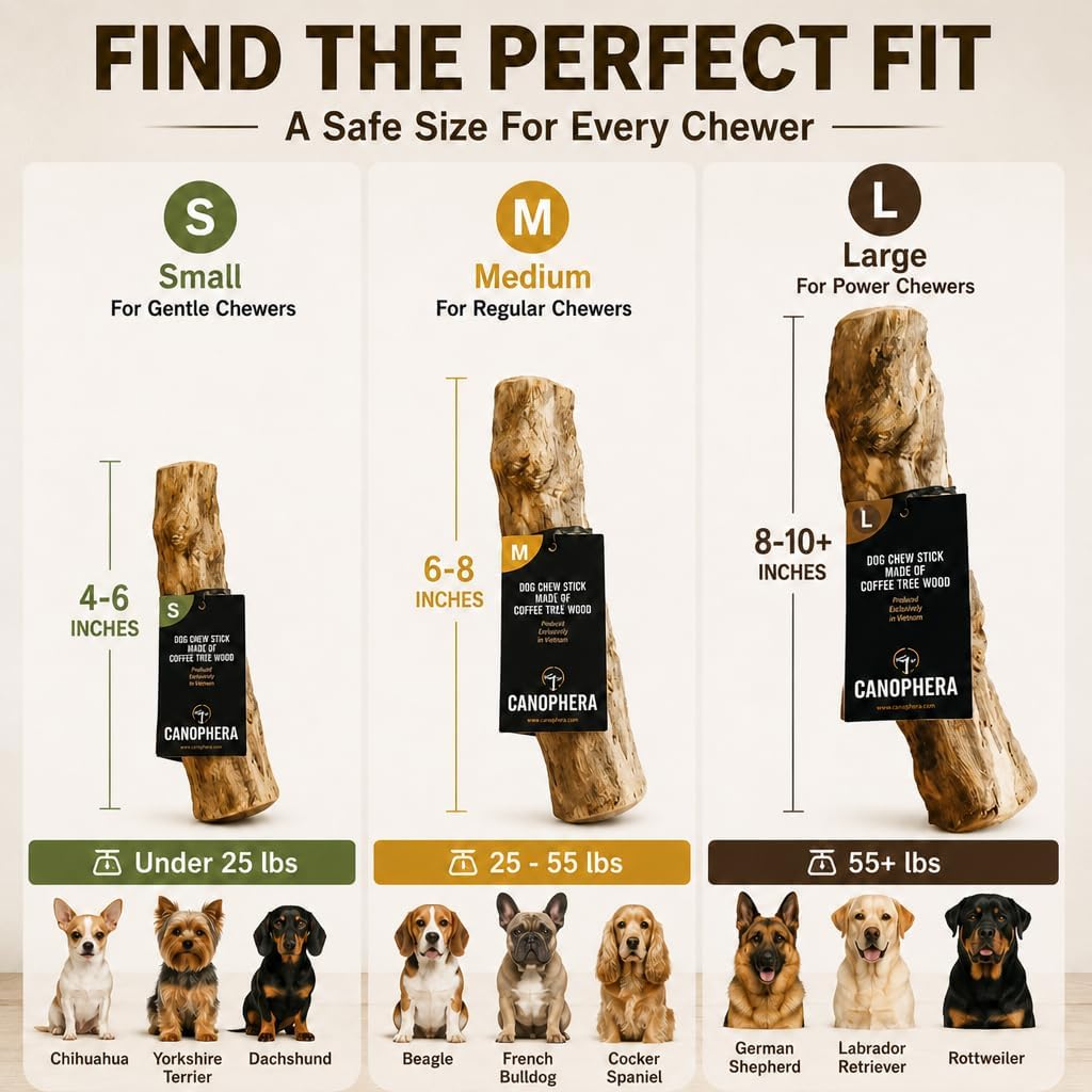 Canophera, Coffee Wood Dog chew Sticks for Regular chewers - Size Large