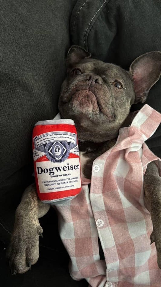 Nocciola, Squeaky Beer Dog Toys with a Fridge, Funny Crinkle Hide and Seek Dog Chew Toys for Small Medium Large Breeds, Plush Stuffed Puppy Birthday Gifts