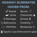 Pyranha, Odaway Ready-to-Use Odor Eliminator Spray – Broad Spectrum Scent Neutralizer for Home, Kennel, Car, Bathroom & Gear, Quart
