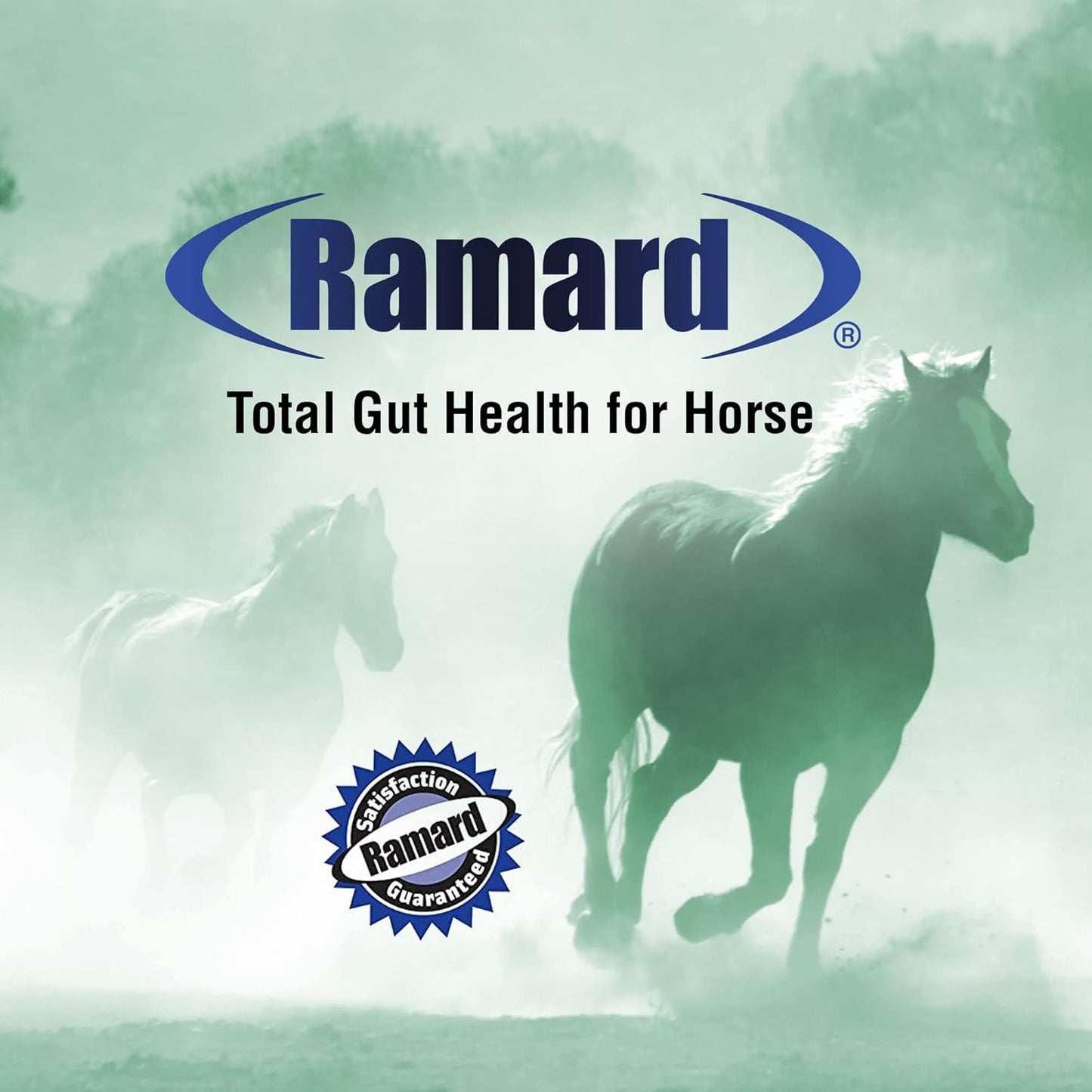 Ramard, Total Gut Health Equine Digestive Support - Equine Gut Health Supplement Probiotics for Horses, Healthy Gut Vitamins, Gastric Relief, Optimum Digestive Health for Horses 1oz, 1-Pack