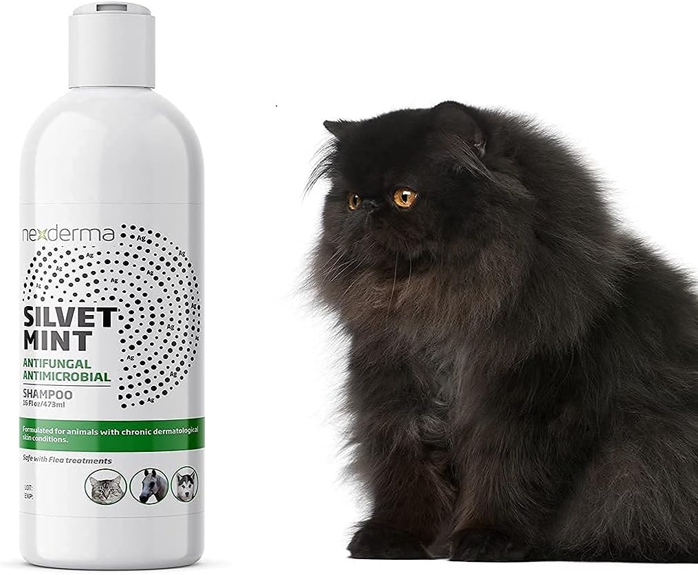 NEXDERMA, Natural Colloidal Medicated Pet Shampoo for Dogs and Cats - Tearless Hypoallergenic, Soap Free with Coconut Oil and Mint, Relief for Allergies, Odor, Itchy, Dry, Irritated Skin - 16oz, 1Pack