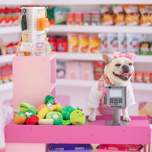 Nocciola, Squeaky Fruits Veggies Stuffed Dog Toys Pack- Hide Seek Grocery Basket Crinkle Plush Puppy Toys to Keep Busy, Birthday Pet Supplies Gifts for Small Medium Breeds